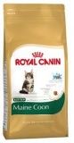 Сухой корм для котят Royal Canin Maine Coon Kitten