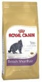Сухой корм для кошек Royal Canin British Shorthair Adult